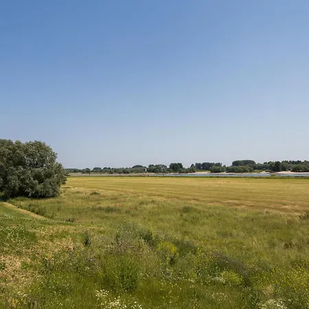Holiday home Cube Xl 104 I 6 Persoons In Zennewijnen